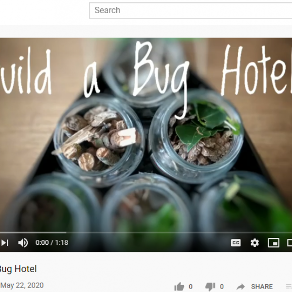 bug hotel (002)