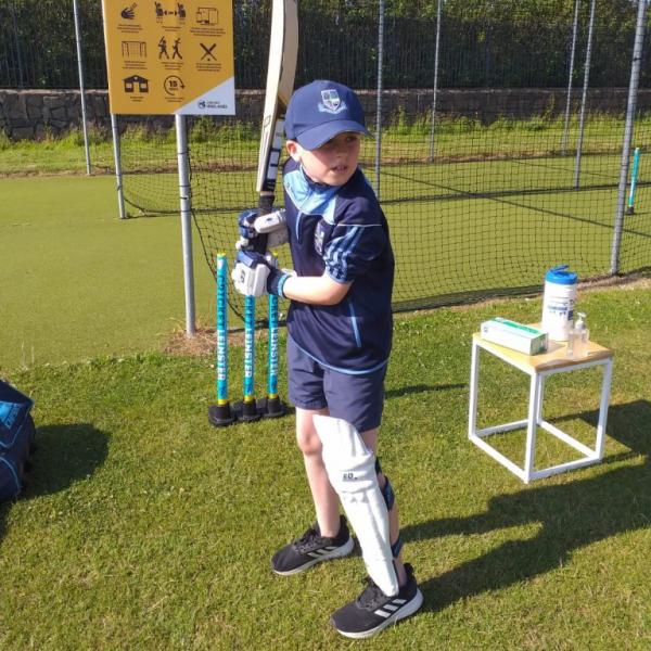 Cricket