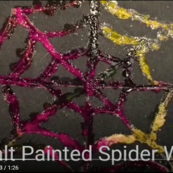 Salt painted spiderweb