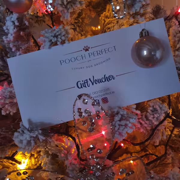 image of pooch perfect voucher