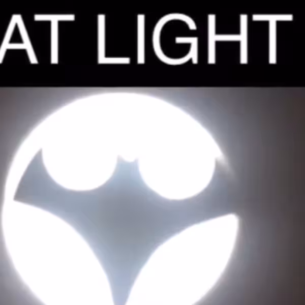 Bat light 