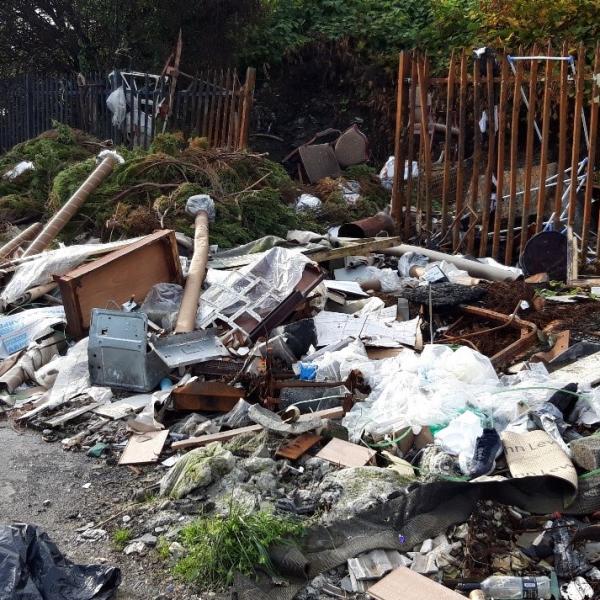 Dunsink Lane Clean Up