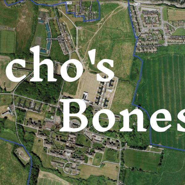 Echo's Bones Logo