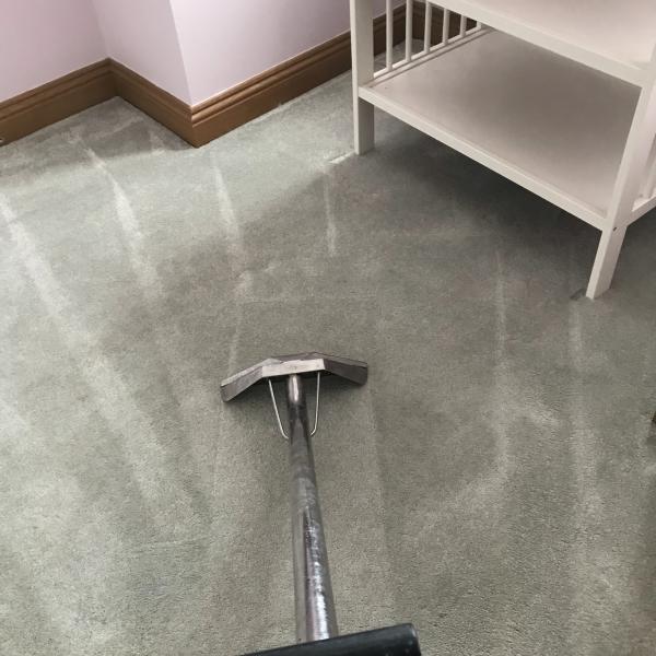 Image of carpet being cleaned