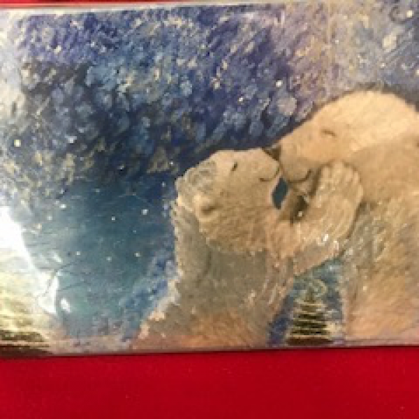 Image of Shinners craft polar bear picture