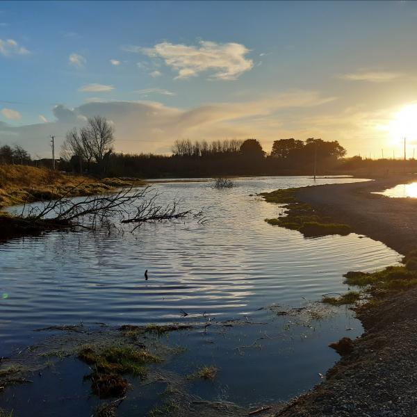 Turvey Wetland