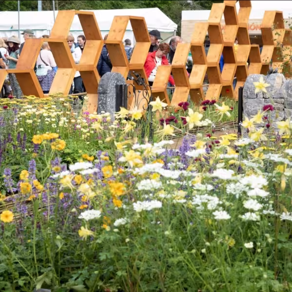 FCCs Gold Medal winning Bee Positive garden at Bloom 2019