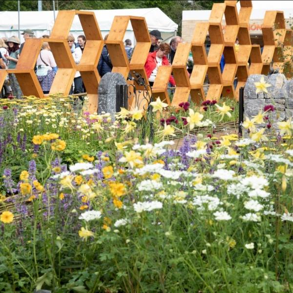 FCCs Gold Medal winning Bee Positive garden at Bloom 2019