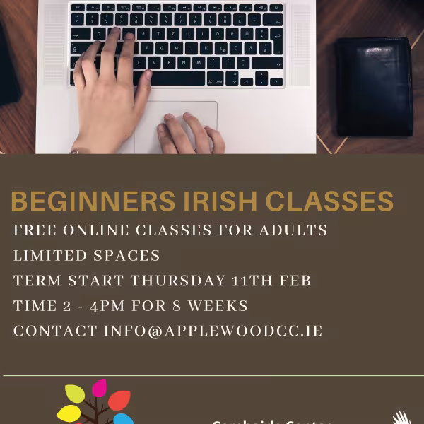 Beginner irish classes