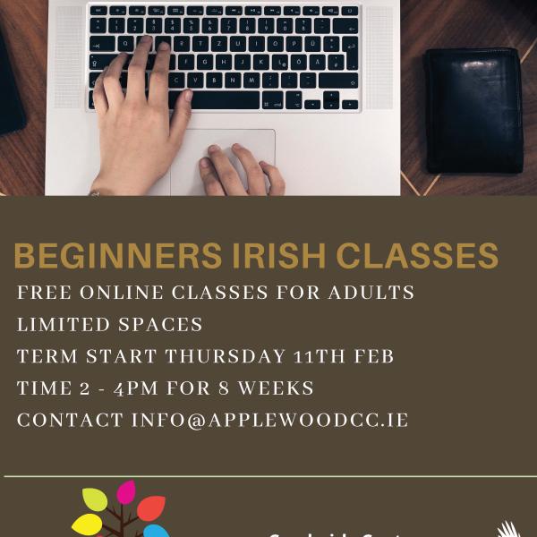 Beginner irish classes