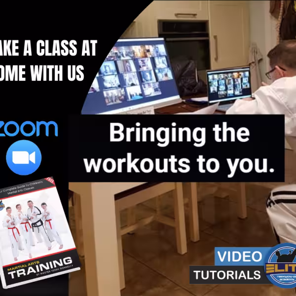Online Taekwon-Do Classes