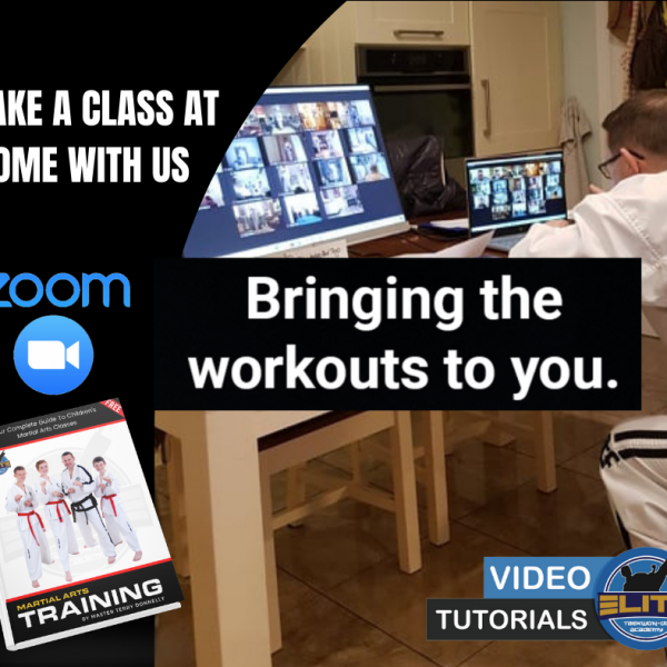 Online Taekwon-Do Classes