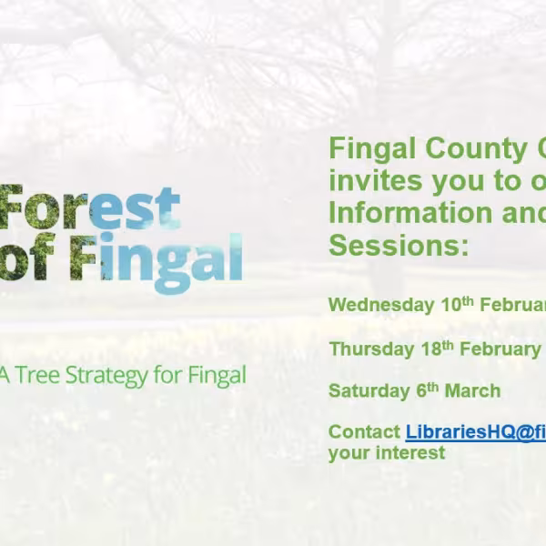 Tree Strategy Promotional Flyer