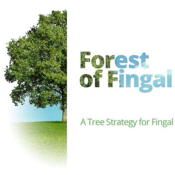 forest of fingal draft