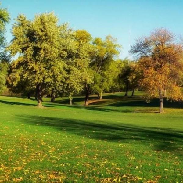 park general