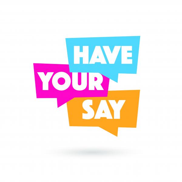 Have your Say graphic