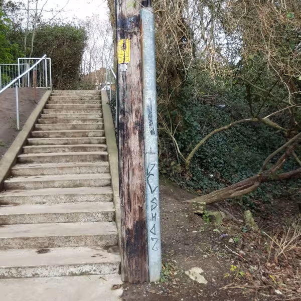 Killeen steps