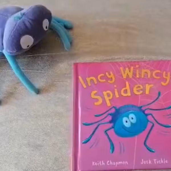 Incy Wincy Spider