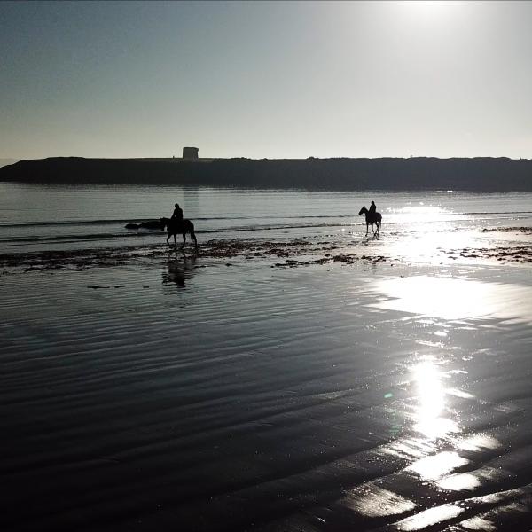 Fingal Coastal Way Loughshinny