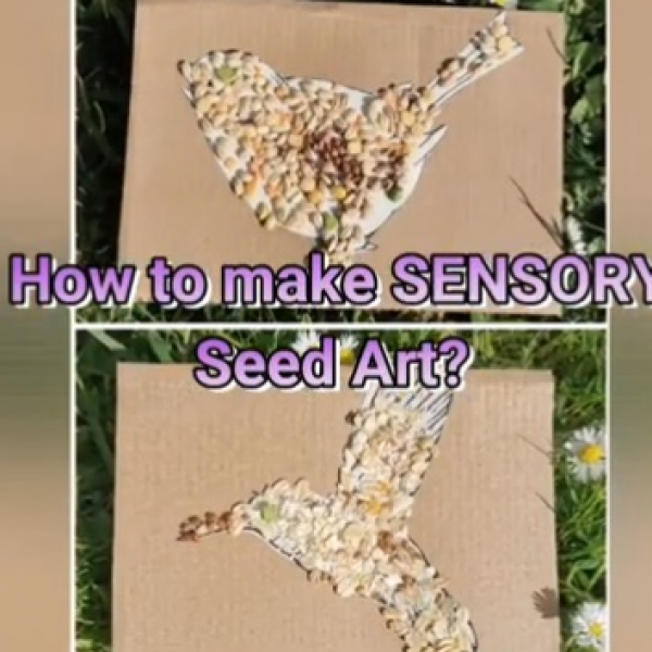Sensory Seeed Art