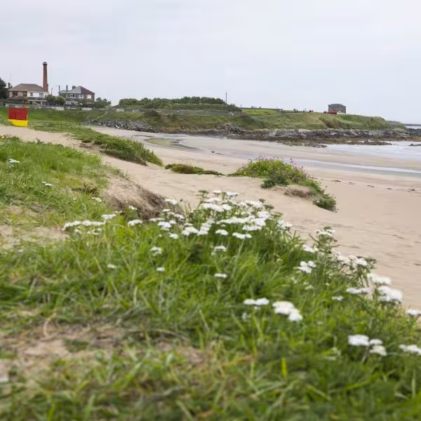 balbriggan beach 