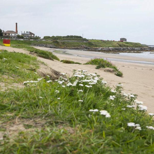 balbriggan beach 