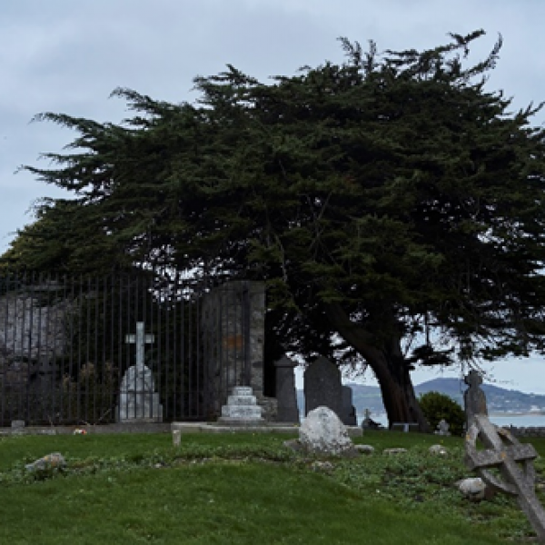 Kilbarrack Cemetery