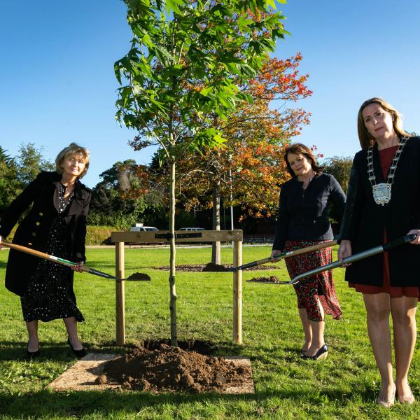 Tree Planting