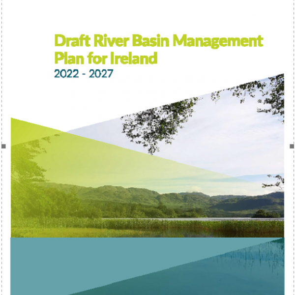 Draft RiverBasin Management Plan