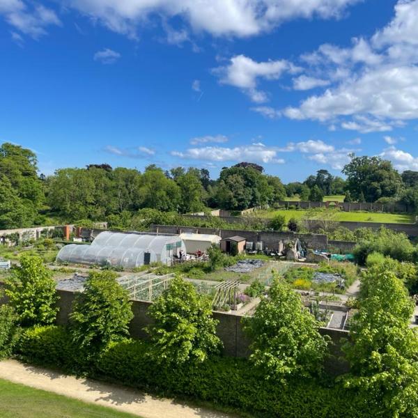 Santry Demesne Community Garden