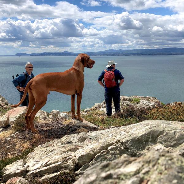 Shanes Adventure Howth