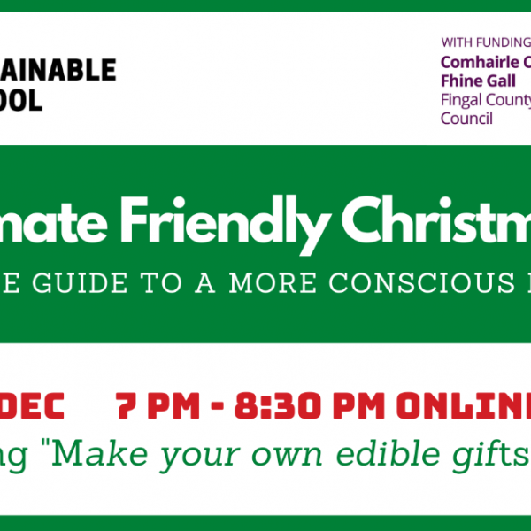 Climate Friendly Christmas