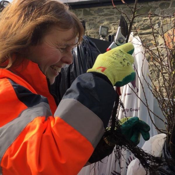 Dominica McKevitt, Head Gardener Ardgillan Demesne distributing trees in 2019