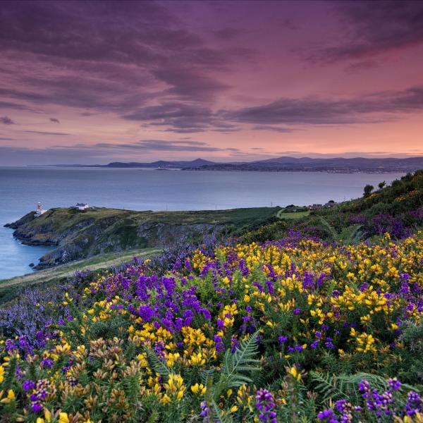 Howth Cliff Walk