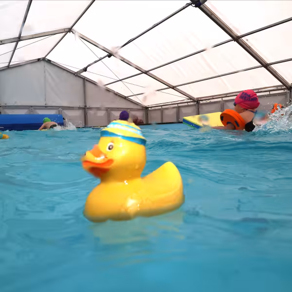 duck in pop-up pool 