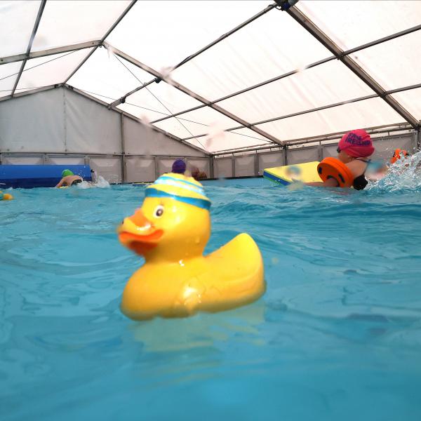 duck in pop-up pool 