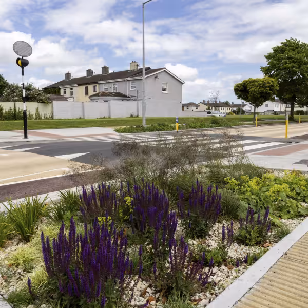 rain gardens feature at St Philip the Apostle school zone