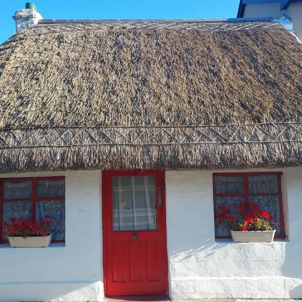 Skerries cottage thatch project