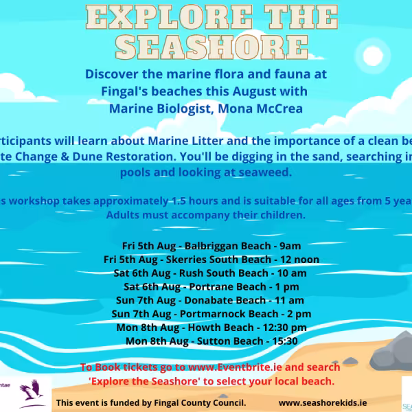 Beach Workshops