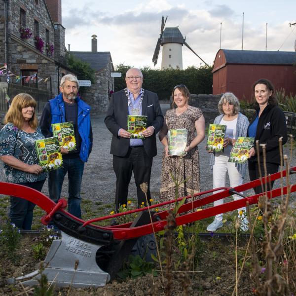 Wild Bee Skerries Mayor