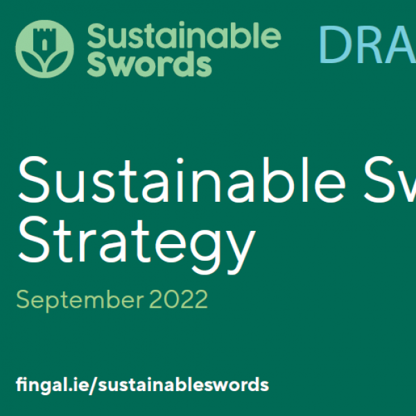 sustainable swords strategy image