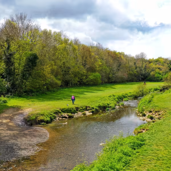 Ward River Valley Park