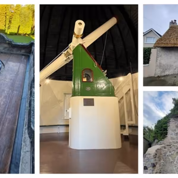 Conservation grants 2022