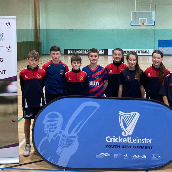 cricket leinster youth development