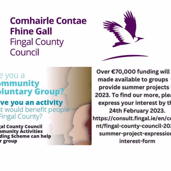 Summer Project Funding