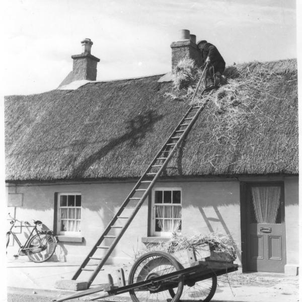Fingal Thatch Project Image