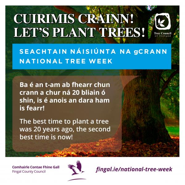 FCC Nat Tree Week Social Media Tile 4B.jpg