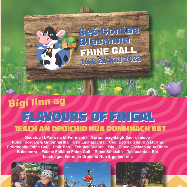 Flavours Gaeilge 2023