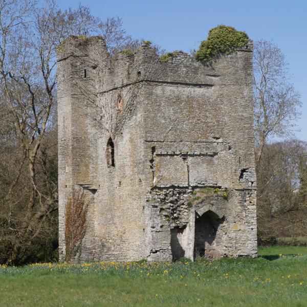 Lanistown Castle courtesy of Mick Mongey.JPG