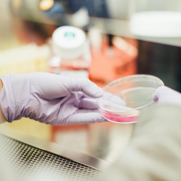 CSI - Forensic Science Workshop with Anyone4Science